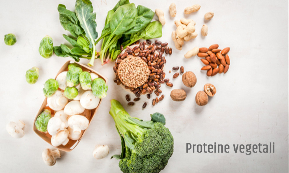 Proteine vegetali: pillar nutrizionale per una vita salutare